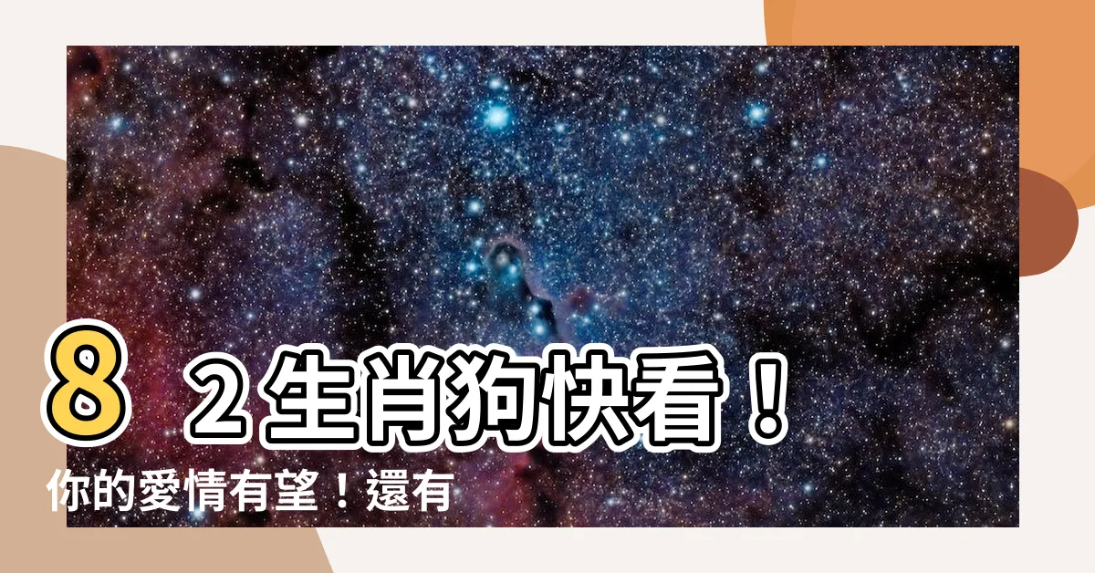 【82 生肖】82 生肖狗快看！你的愛情有望！還有2024運勢全解析
