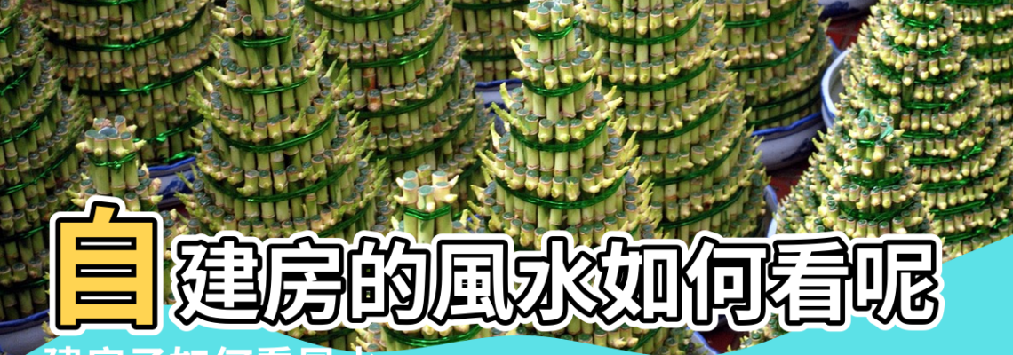 【建房子要不要看風水】自建房的風水如何看呢 |建房子如何看風水 |建房子為什麼要看風水 |