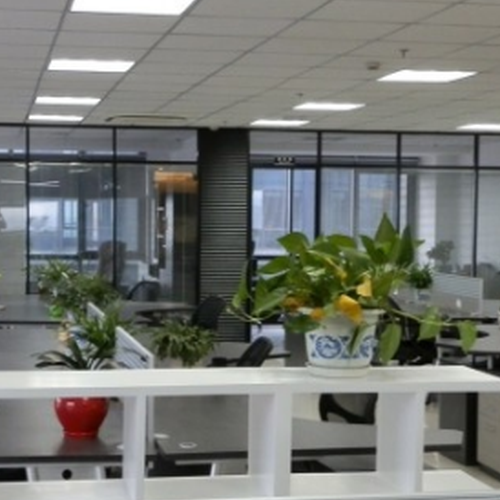 1、辦公室植物風水裝飾的重要性是什麼
