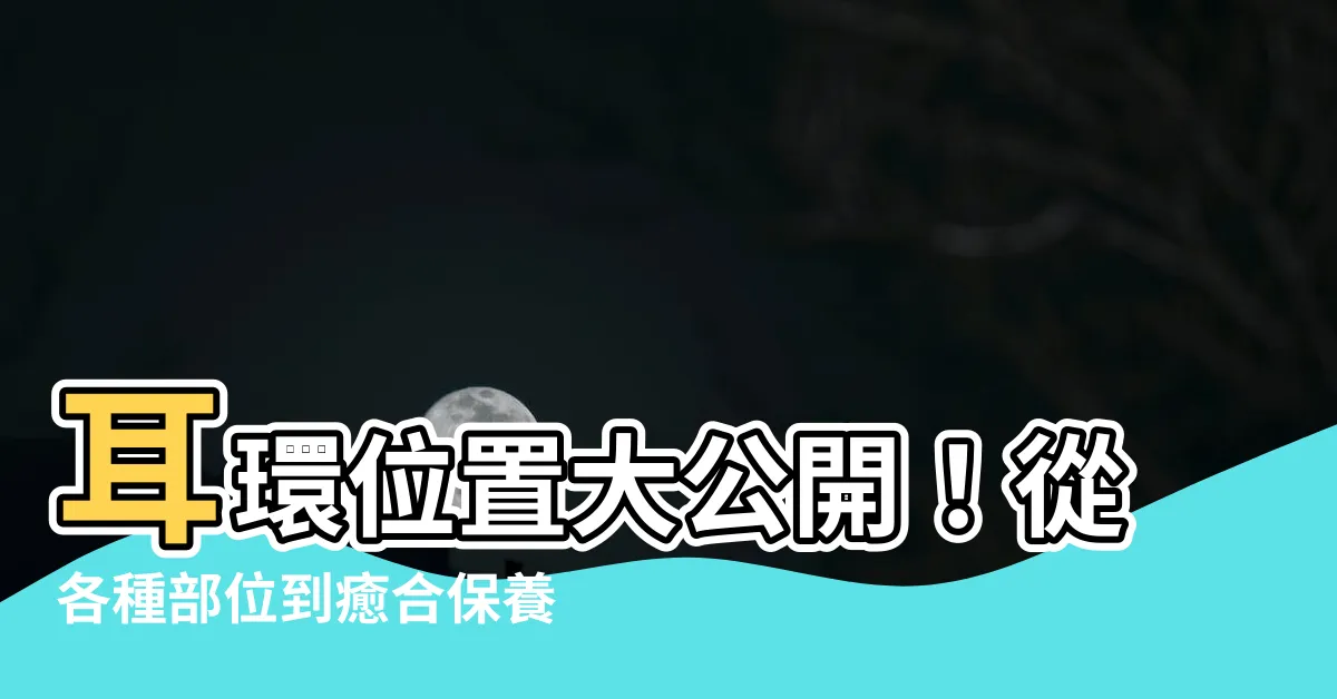 【耳環 位置】耳環位置大公開！從各種部位到癒合保養一網打盡