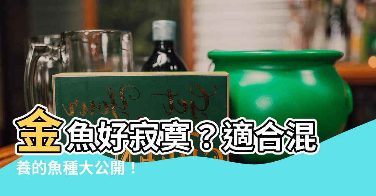 【金魚可以跟什麼一起養】金魚好寂寞？適合混養的魚種大公開！
