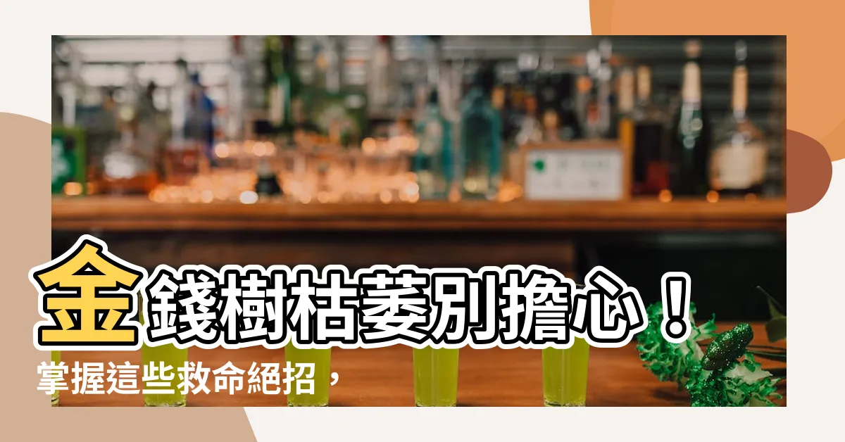 【金錢樹枯萎】金錢樹枯萎別擔心！掌握這些救命絕招，快速恢復生機