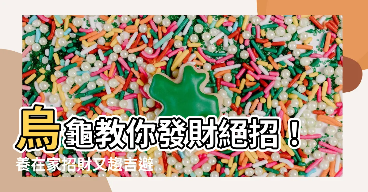 【烏龜 招財】烏龜教你發財絕招！養在家招財又趨吉避兇