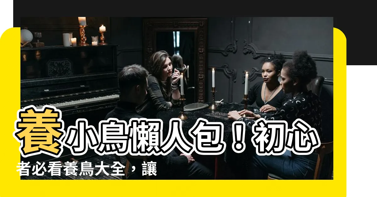 【養小鳥】養小鳥懶人包！初心者必看養鳥大全，讓你的小寶貝健康又快樂