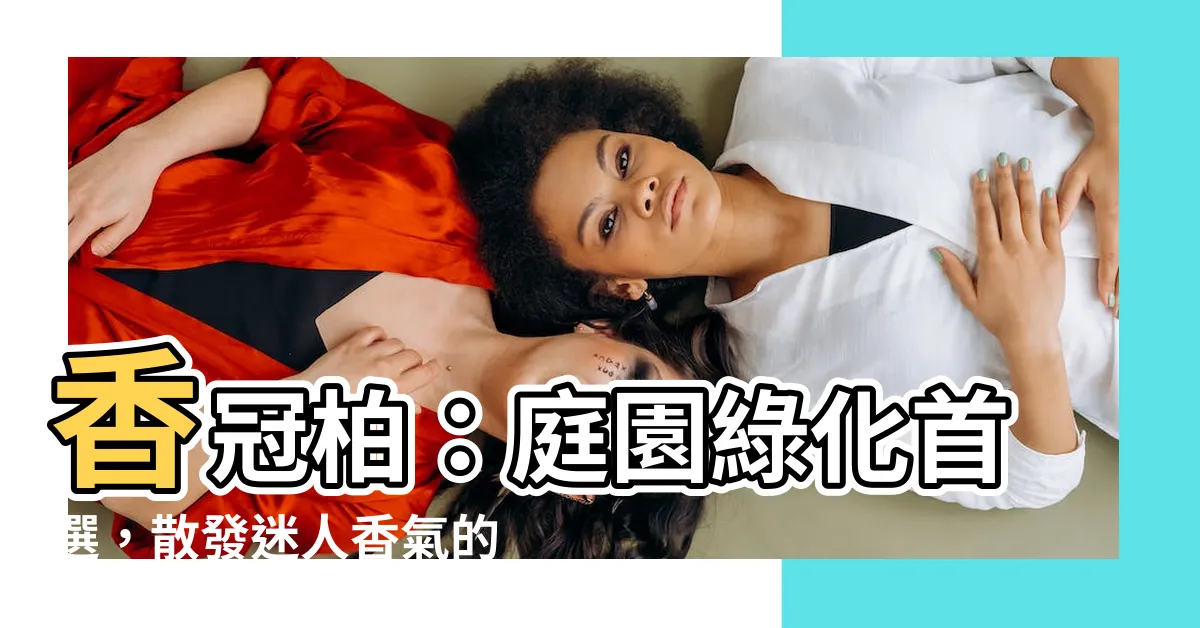 【香冠】香冠柏：庭園綠化首選，散發迷人香氣的常綠樹