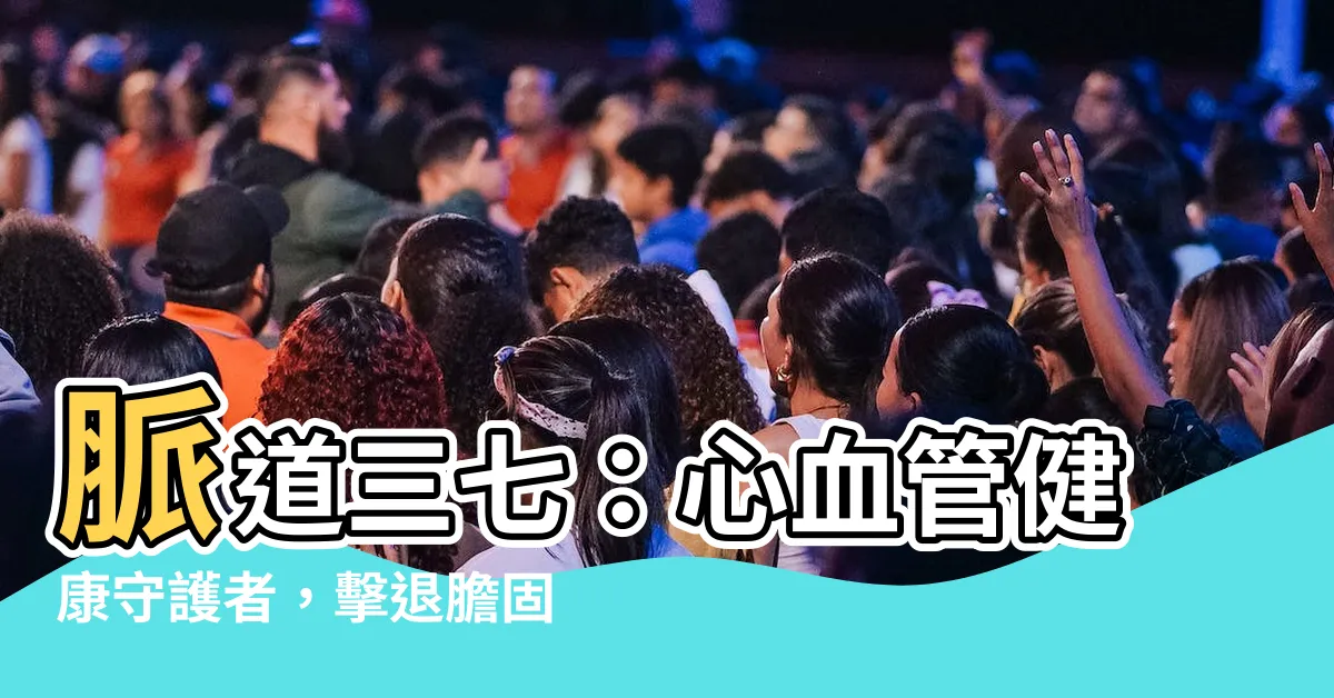 【脈道三七】脈道三七：心血管健康守護者，擊退膽固醇和血管垃圾