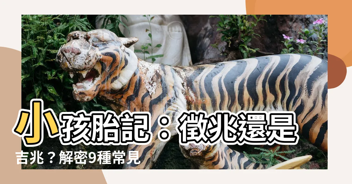 【小孩胎記】小孩胎記：徵兆還是吉兆？解密9種常見胎記！