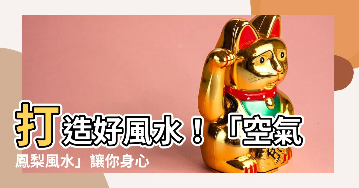 【空氣鳳梨風水】打造好風水！「空氣鳳梨風水」讓你身心靈都健康