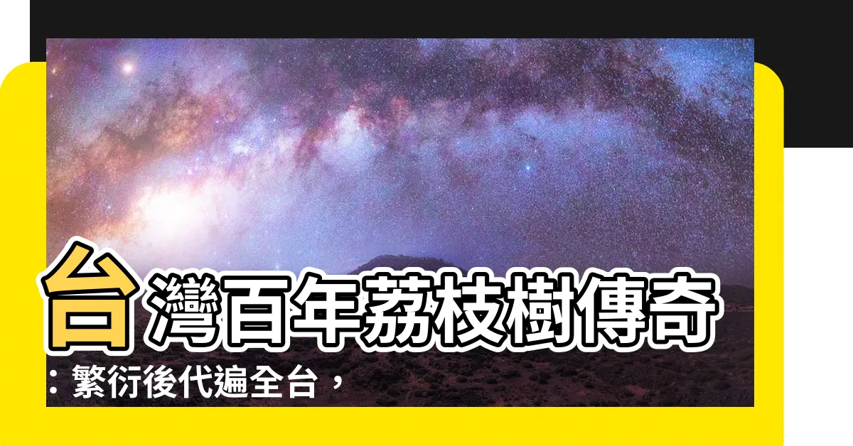 【百年荔枝樹】台灣百年荔枝樹傳奇：繁衍後代遍全台，搶救百年荔枝森林！