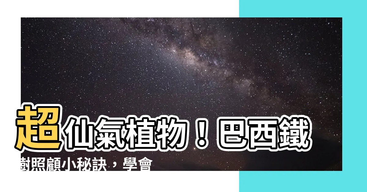 【巴西鐵樹 照顧】超仙氣植物！巴西鐵樹照顧小秘訣，學會後新手也能養出叢林風！