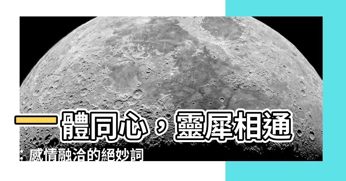 【感情融洽】一體同心，靈犀相通：感情融洽的絕妙詞彙