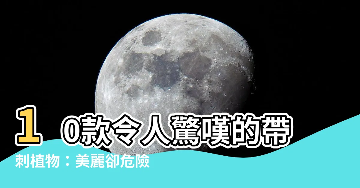 【帶刺的植物】10款令人驚嘆的帶刺植物：美麗卻危險！