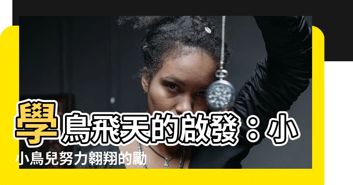 【鳥學飛】學鳥飛天的啟發：小小鳥兒努力翱翔的勵志故事