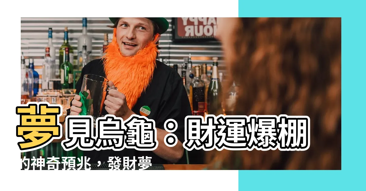 【夢見烏龜】夢見烏龜：財運爆棚的神奇預兆，發財夢來啦！