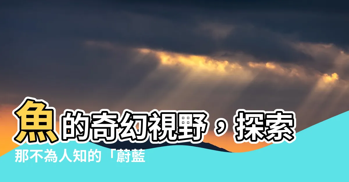 【魚的視野】魚的奇幻視野，探索那不為人知的「蔚藍秘境」