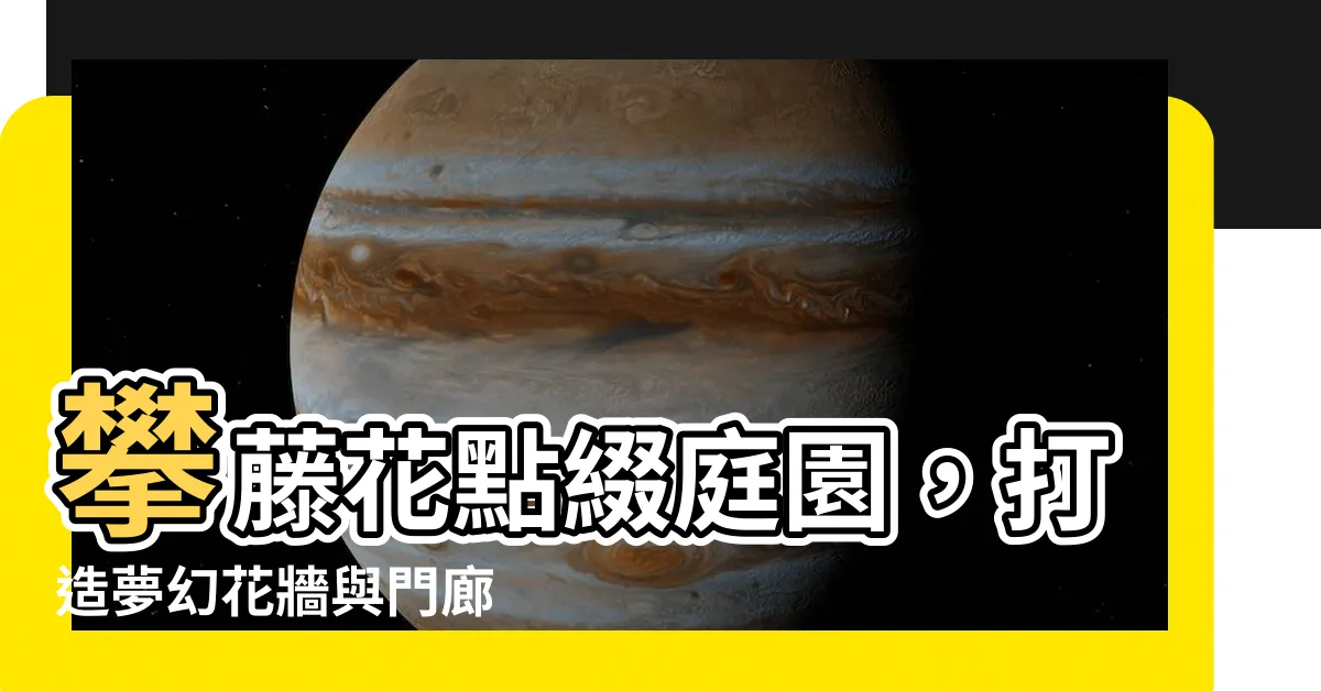 【攀藤花】攀藤花點綴庭園，打造夢幻花牆與門廊