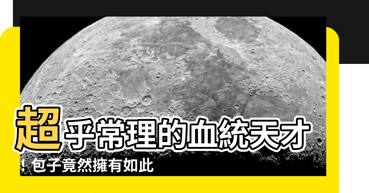 【超乎常理的血統天才 包子】超乎常理的血統天才！包子竟然擁有如此驚人的血緣！