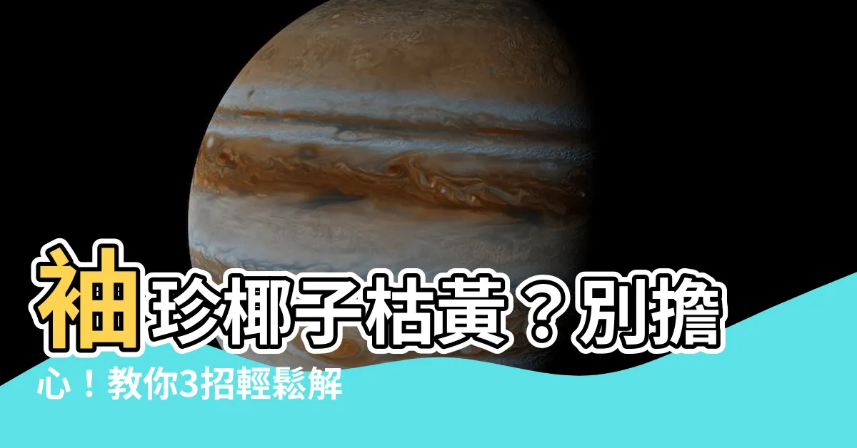【袖珍椰子枯黃】袖珍椰子枯黃？別擔心！教你3招輕鬆解決