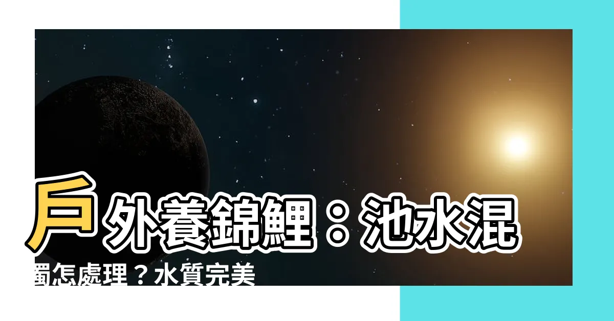 【户外養錦鯉】户外養錦鯉：池水混濁怎處理？水質完美秘訣大公開！
