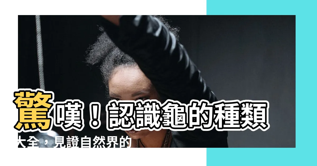 【龜的種類】驚嘆！認識龜的種類大全，見證自然界的龜殼奇觀