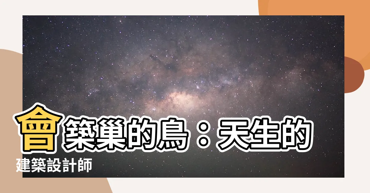 【會築巢的鳥】會築巢的鳥：天生的建築設計師