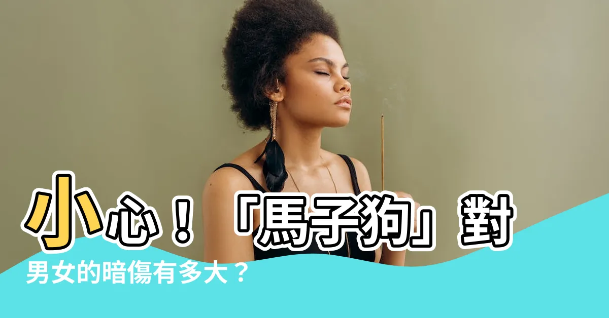 【馬子狗】小心！「馬子狗」對男女的暗傷有多大？
