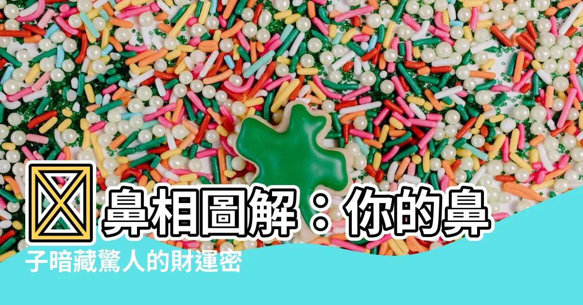 【鼻相圖解】💡鼻相圖解：你的鼻子暗藏驚人的財運密碼