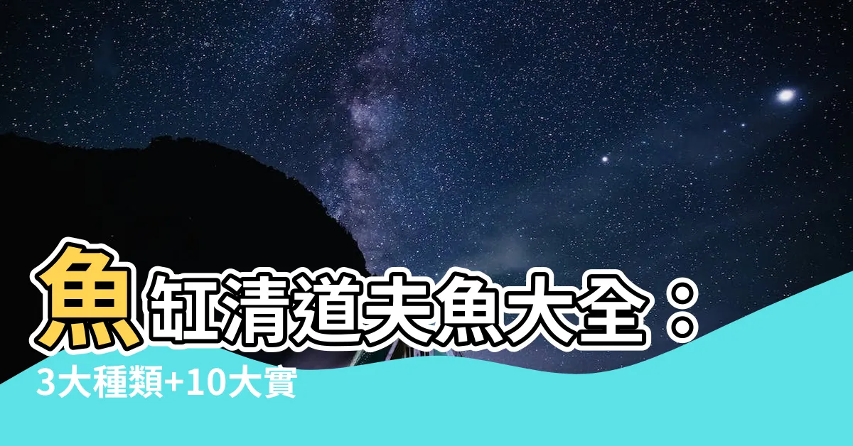 【清道夫魚種類】魚缸清道夫魚大全：3大種類+10大實用又美觀選擇