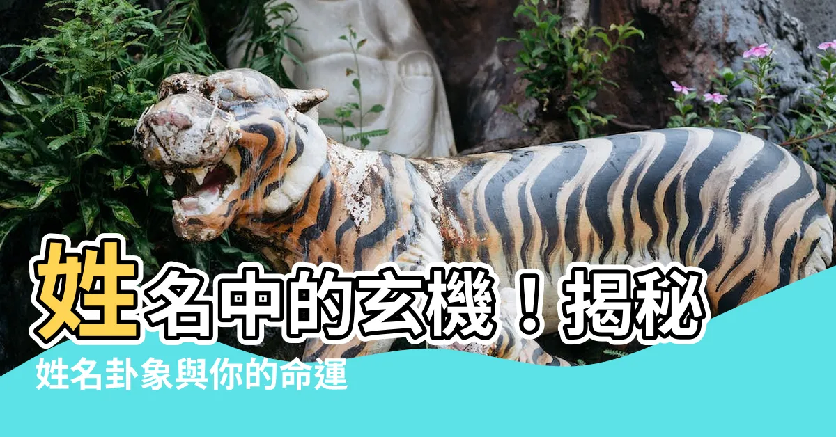 【姓名卦象】姓名中的玄機！揭秘姓名卦象與你的命運