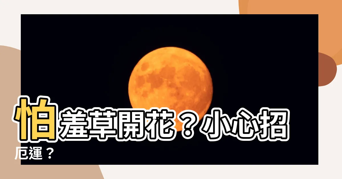【怕羞草開花風水】怕羞草開花？小心招厄運？