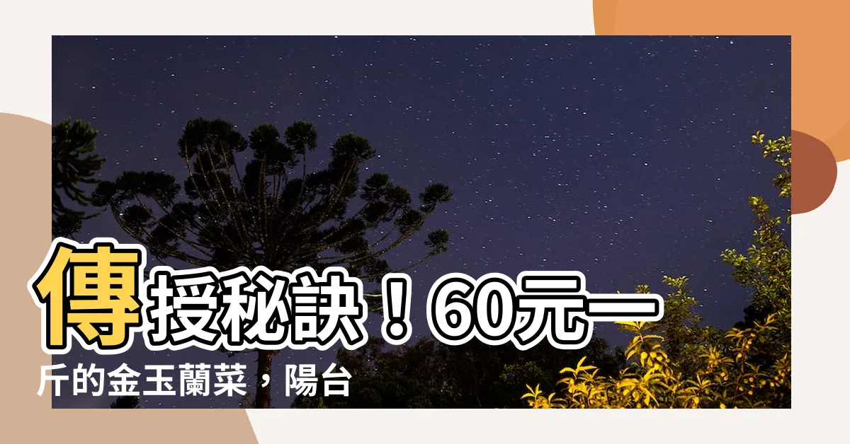 【金玉蘭如何種植】傳授秘訣！60元一斤的金玉蘭菜，陽台種植密技大公開