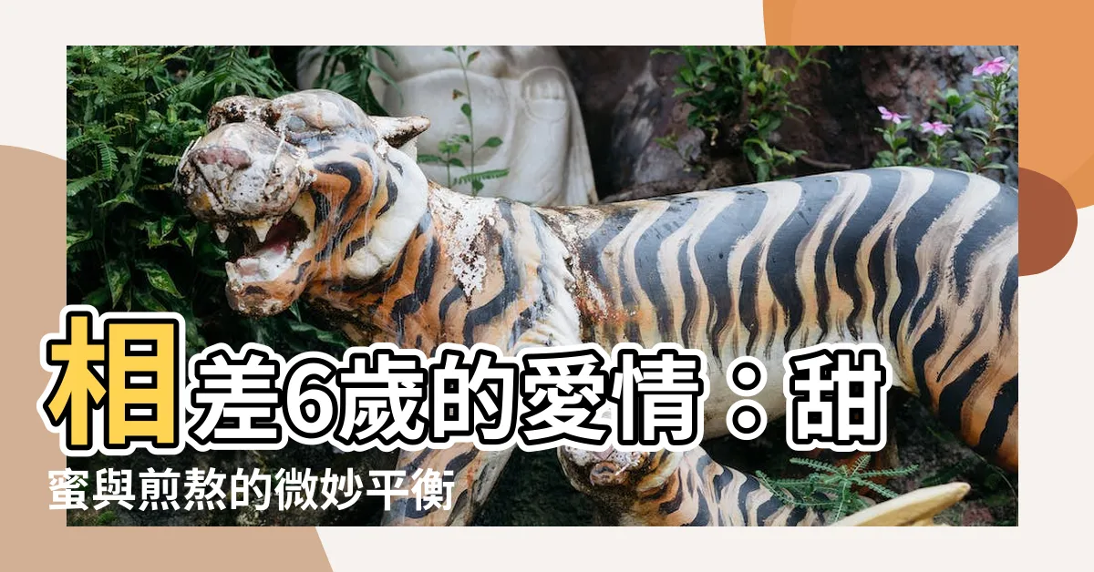 【相差6歲的愛情】相差6歲的愛情：甜蜜與煎熬的微妙平衡