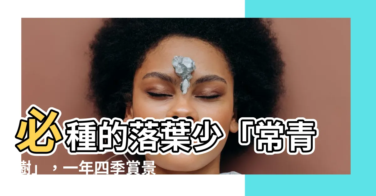【落葉少的樹】必種的落葉少「常青樹」，一年四季賞景超爽！