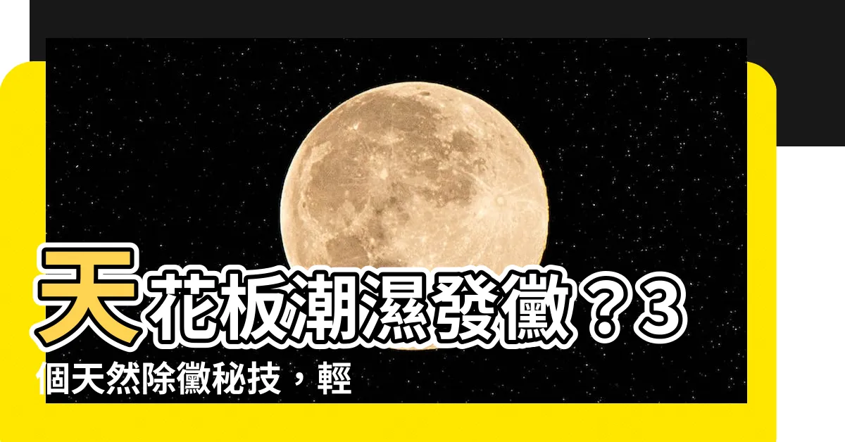 【天花板除黴】天花板潮濕發黴？3個天然除黴秘技，輕鬆告別惱人黑垢！