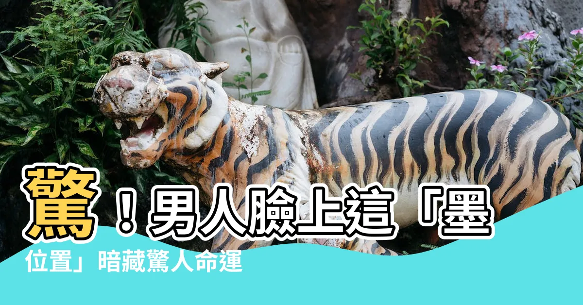 【墨位置男】驚！男人臉上這「墨位置」暗藏驚人命運揭秘！