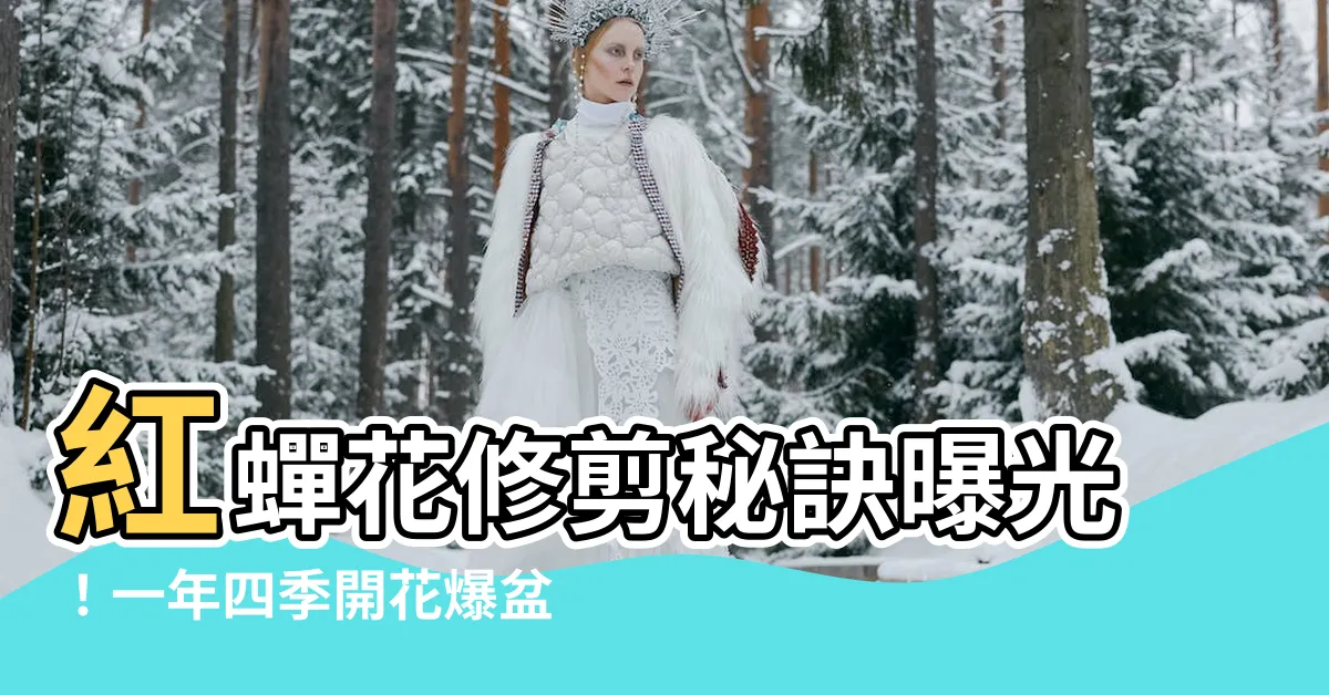【紅蟬花修剪】紅蟬花修剪秘訣曝光！一年四季開花爆盆不是夢