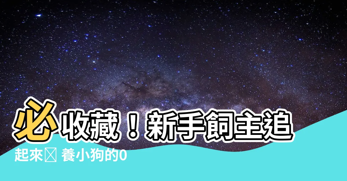 【養小狗】必收藏！新手飼主追起來📝 養小狗的0到100步驟攻略