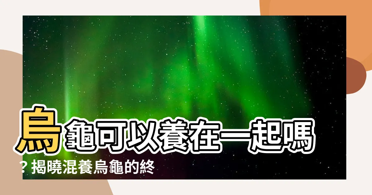 【烏龜可以養在一起嗎】烏龜可以養在一起嗎？揭曉混養烏龜的終極指南