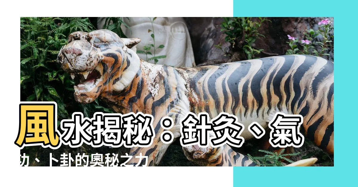 【和風水】風水揭秘：針灸、氣功、卜卦的奧秘之力
