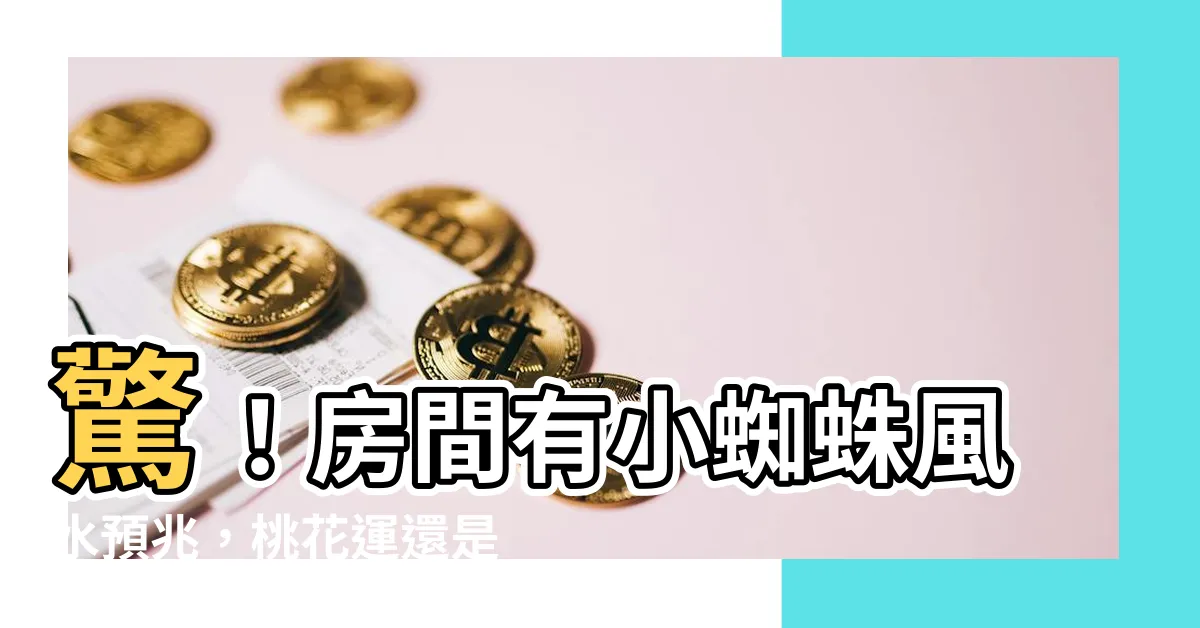 【房間有小蜘蛛風水】驚！房間有小蜘蛛風水預兆，桃花運還是煞氣？