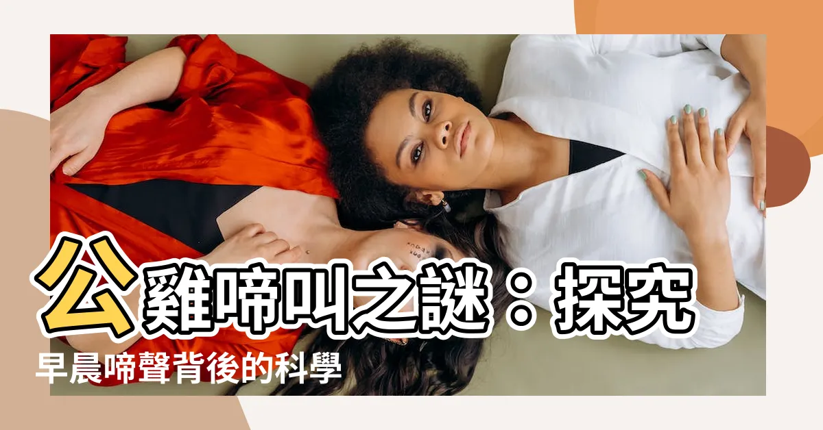 【公雞啼叫 原因】公雞啼叫之謎：探究早晨啼聲背後的科學原因