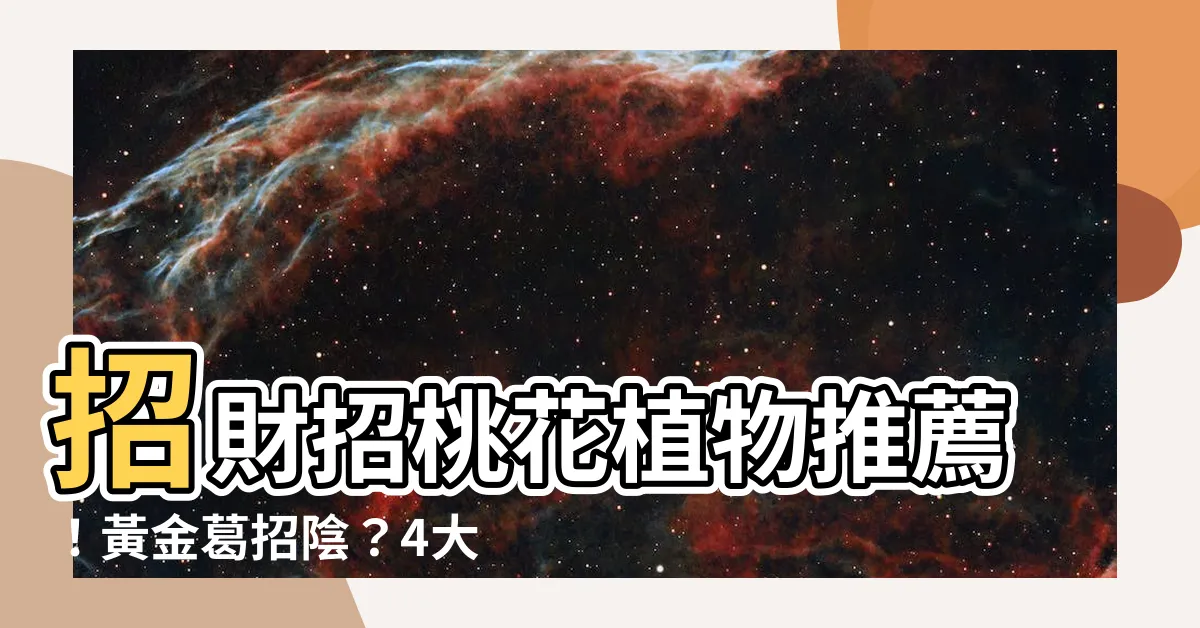 【黃金葛招陰】招財招桃花植物推薦！黃金葛招陰？4大室內植物禁忌一次看