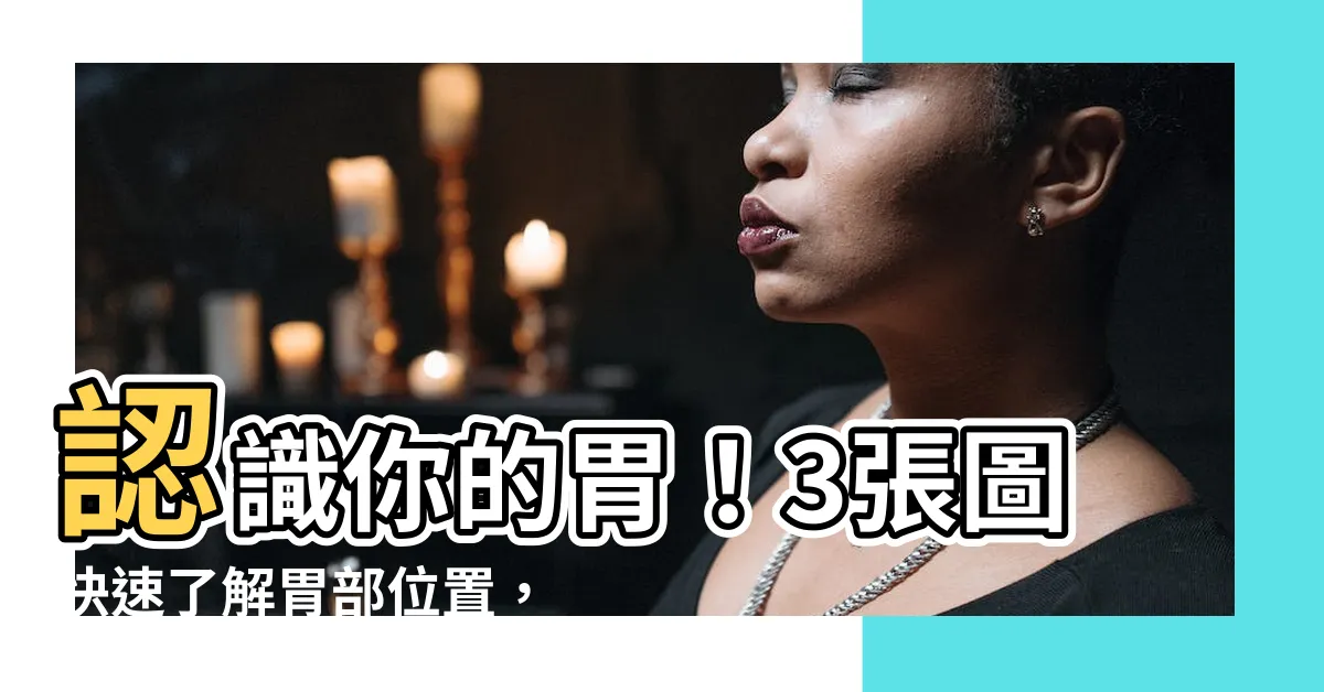 【胃位置圖】認識你的胃！3張圖快速瞭解胃部位置，遠離肚子痛困擾