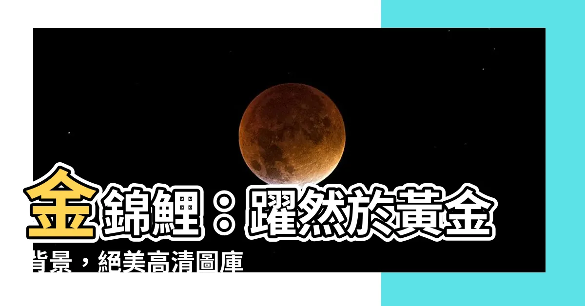 【金錦鯉】金錦鯉：躍然於黃金背景，絕美高清圖庫免費下載！
