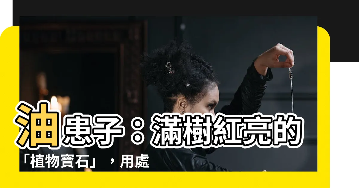 【油患子】油患子：滿樹紅亮的「植物寶石」，用處多多等你發現！