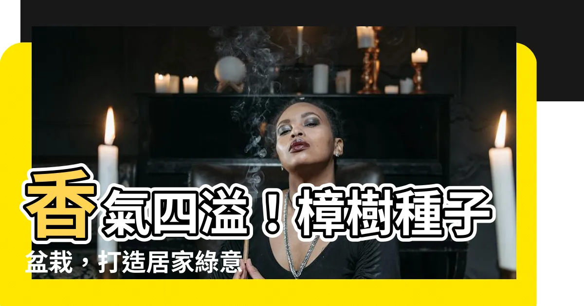 【樟樹種子盆栽】香氣四溢！樟樹種子盆栽，打造居家綠意新寵