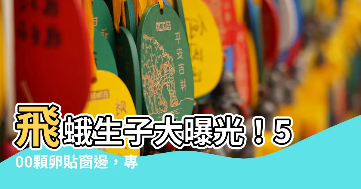 【飛蛾產卵】飛蛾生子大曝光！500顆卵貼窗邊，專家驚揭驚人真相