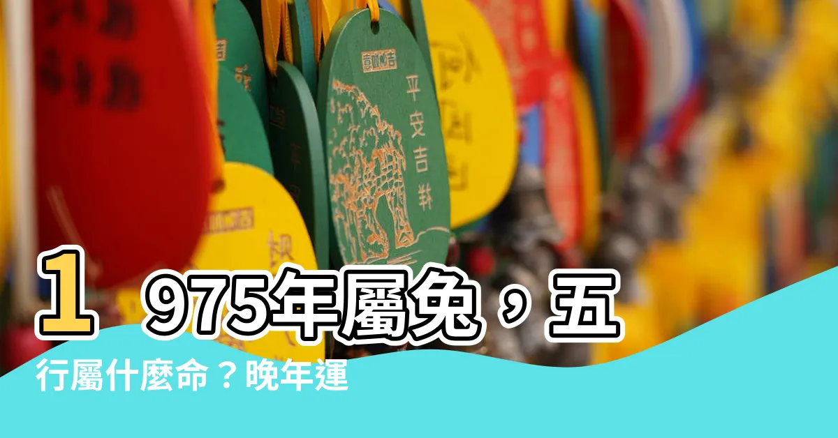 【1975 兔 五行】1975年屬兔，五行屬什麼命？晚年運勢解析