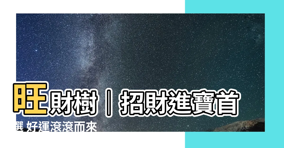 【旺財樹】旺財樹｜招財進寶首選 好運滾滾而來