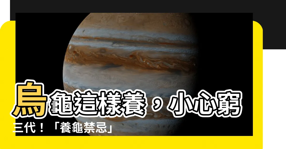 【養烏龜的禁忌】烏龜這樣養，小心窮三代！「養龜禁忌」大公開